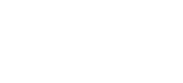 BIRN logo